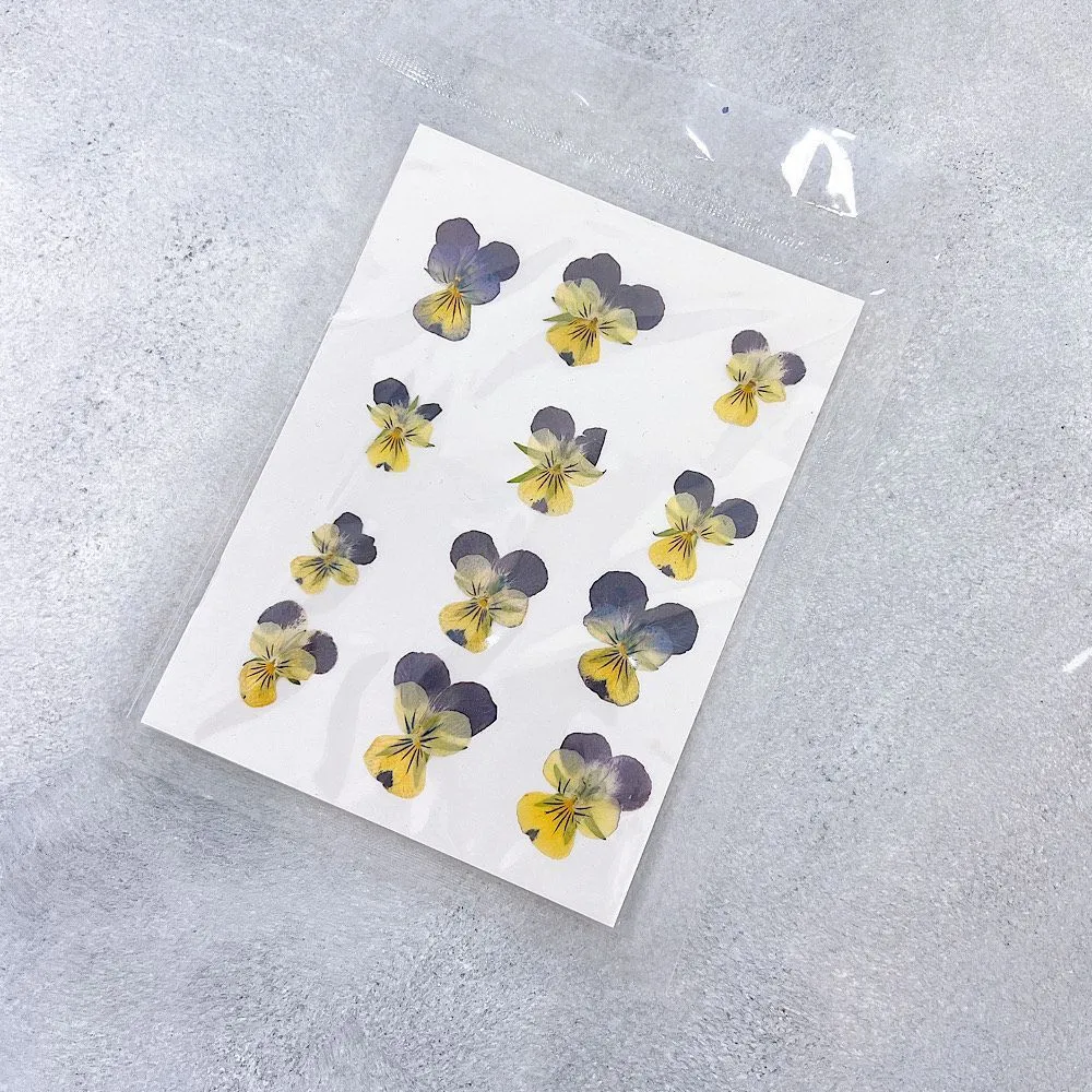 Сухоцвет для леденцов "Анютины глазки" желтые с фиолетовым, 12 шт