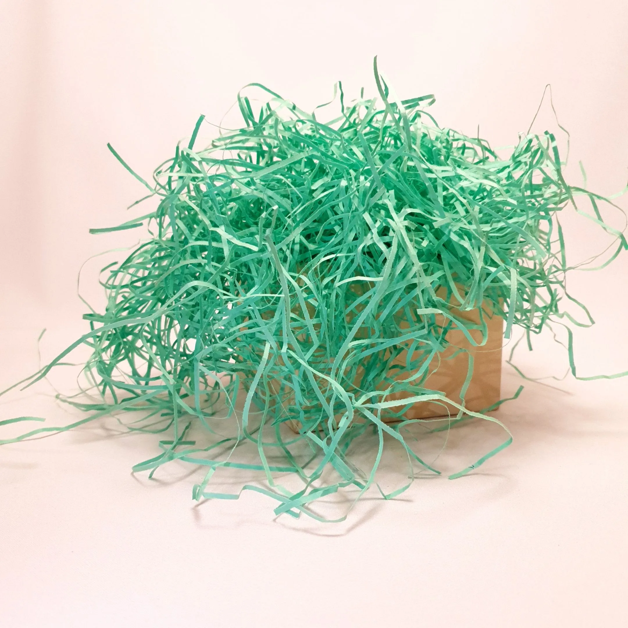 Наполнитель Зеленый 100 гр