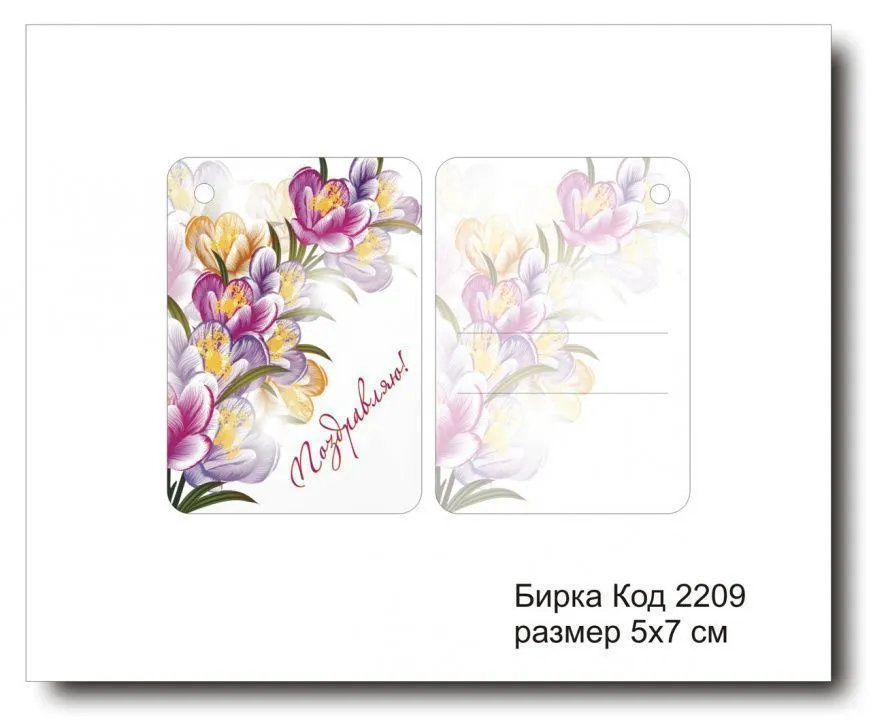 Набор бирок "Поздравляю №2209"  5х7 см (10 шт)