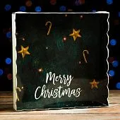 Коробочка для печенья с пластиковой крышкой "Рождество", 15х15х3 см