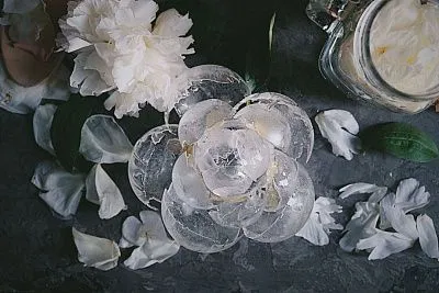 Изомальт Альтер BENEO, 500 гр