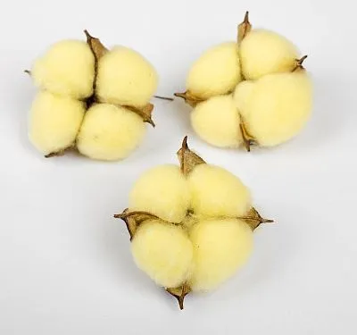 Набор сухие цветы хлопка 3 шт желтый