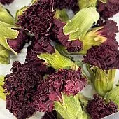 Бутоны Гвоздики, 40 гр