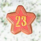 Трафарет и форма "Звезда с цифрой 23"