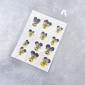 Сухоцвет для леденцов "Анютины глазки" желтые с фиолетовым, 12 шт