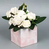 Коробка для пряничного букета с пластиковой крышкой "Мрамор", 12х12х12 см