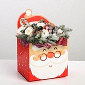 Коробка для пряничного букета "С Новым годом", дед мороз, 12х17х10 см