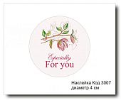 Набор наклеек "Especially For you №3007"  D-4 см (10 шт)
